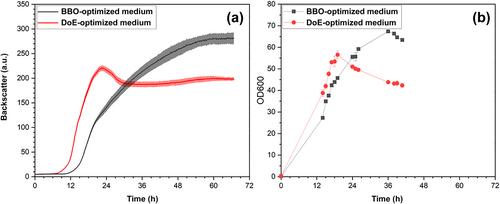 Multi-cycle high-throughput growth media optimization using batch Bayesian optimization