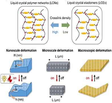 Comprehensive Study of Actuation Mechanisms and Applications in Liquid Crystalline Polymer Networks and Elastomer from Nanometer Precision to Macroscale Functionality