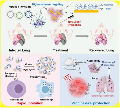 An Intranasal Nanomedicine Functions as Both Potent Broad-spectrum Viral Inhibitor and Quasi-Vaccine