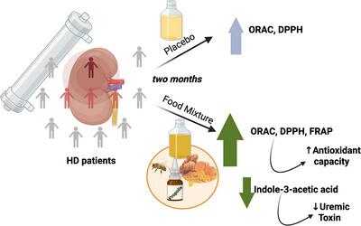 Effects of a Functional Food Mixture on Patients Undergoing Hemodialysis: Preliminary Results Highlighting the Modulation of Uremic Toxins Derived From Microbiota and Antioxidant Markers