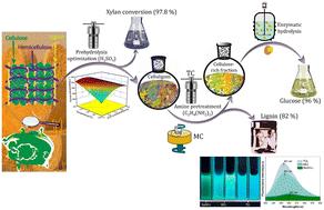 Stepwise pretreatment involving dilute acid and amine for corn stover fractionation toward full lignocellulose-oriented valorization†