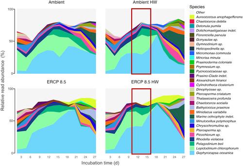 Concurrent global change and marine heatwaves disturb phototrophic more than heterotrophic protist diversity