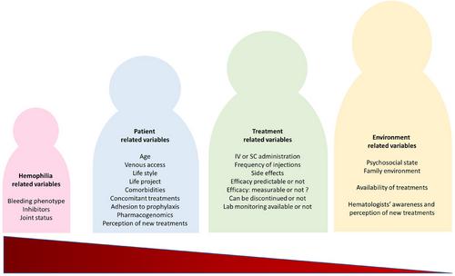 Haemophilia Prophylaxis in the Age of Innovation: Exploring Opportunities for Personalized Treatment