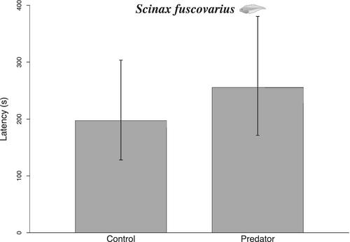 Investigating the behavioral responses of nektonic and benthic tadpoles elicited by the presence of a predatory nektonic fish