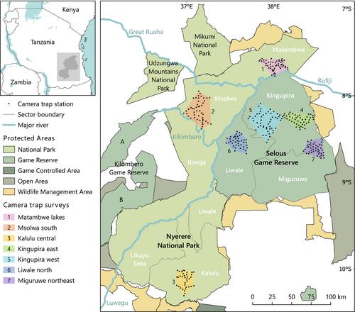 Spatially explicit camera trap-based lion monitoring in Tanzania's Selous–Nyerere landscape