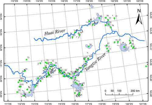 Habitat heterogeneity overrides local processes to drive the species–area relationship of benthic macroinvertebrates in shallow floodplain lakes