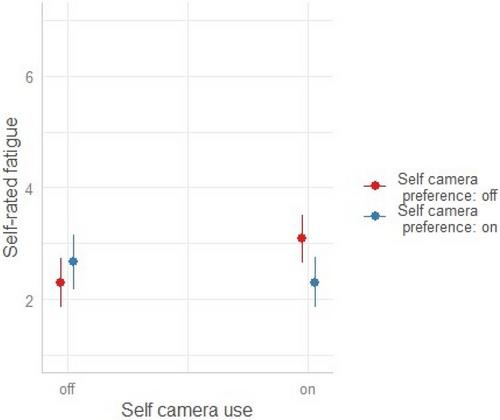 Turning the Camera Off in Virtual Interactions Can Harm the Reputation