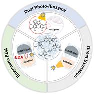 Recent advances in repurposing natural enzymes for new-to-nature asymmetric photobiotransformations
