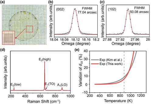 Unveiling Temperature-Dependent Behavior of AlN Piezoelectric Single Crystal: Insights at the Atomic Scale