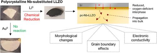 Effect of Propagating Dopant Reactivity on Lattice Oxygen Loss in LLZO Solid Electrolyte Contacted with Lithium Metal
