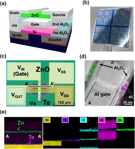 Demonstration of Vertically Stacked ZnO/Te Complementary Field-Effect Transistor
