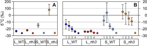 Rhizodeposit Carbon Gradients: Potentials and Limitations of Destructive Rhizosphere Sampling on a Millimeter-Scale