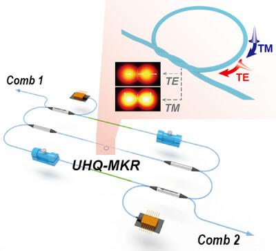 Dual Micro-comb Generation in Fiber Laser Driven by Single Ultra-High-Q Microfiber Resonator