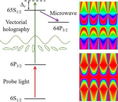 Atom-Based Vectorial Holography for Multidimensional Microwave Detection via Broadband Microwave-To-Optical Conversion