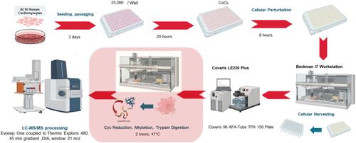 High-Throughput Workflow for Detergent-free Cell-Based Proteomic Characterization