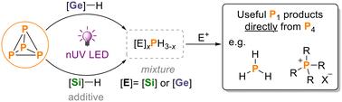 Hydrosilylation and hydrogermylation of white phosphorus†