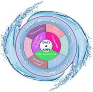 Geometric and electronic perspectives on dual-atom catalysts for advanced oxidation processes