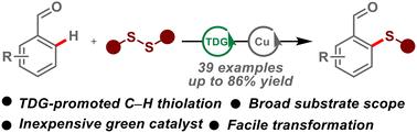 Copper-catalyzed aryl ortho-C–H thiolation of aldehydes via a transient directing group strategy†