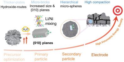 Li-rich oxide micro-bricks with exposed {010} planes to construct ultrahigh-compaction hierarchical cathodes for Li-ion batteries