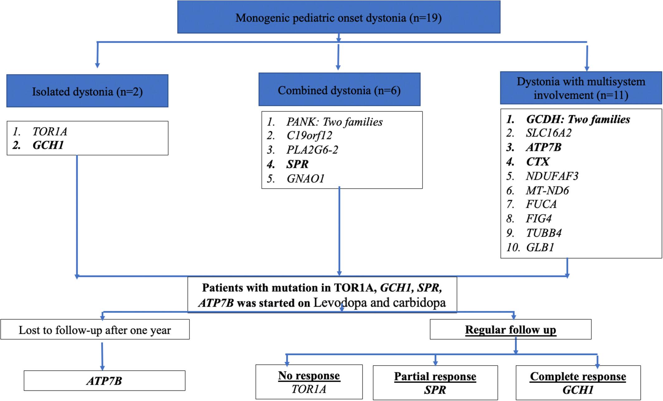 Spectrum of Inherited Childhood-Onset Dystonia: Case Series of 19 Families With Genotype and Phenotype Characterization Highlighting the Treatable Causes