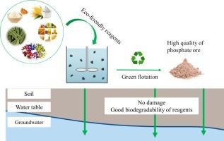 Current and sustainable approaches in phosphate ore flotation: A review of eco-friendly reagents and their applications