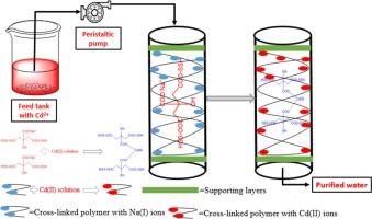 A model batch and column study for Cd(II) uptake using citric acid cross-linked Salvia spinosa hydrogel: Optimization through Box-Behnken design