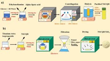 Nitrogen, sulphur co-doped carbon quantum dots scaffolded on TiO2 nanoparticles towards efficient photocatalysts for hydrogen evolution