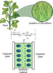 Influence of Matrix, Filler, and structural design on the dielectric and energy storage properties of cellulose composites