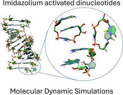 Computational Evaluation of the Binding of Activated Ribonucleotides in Nonenzymatic RNA Template Copying
