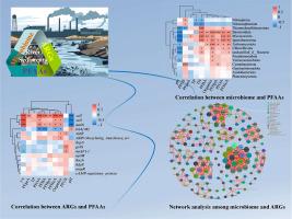 Metagenomic investigations of microbial community response and antibiotic resistance genes in river sediments polluted by perfluoroalkyl acids