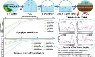 Algae penetration and taste and odor compounds production in drinking water treatment plants: seasonal variations and risk assessment
