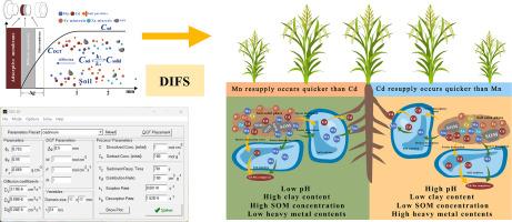 Availability and desorption kinetics of correlative cadmium and manganese in soils from karst areas
