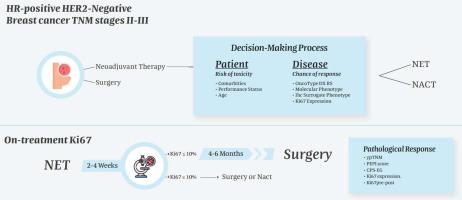 Navigating Endocrine Sensitivity Assessment in Nonmetastatic Breast Cancer Through Early On-Treatment Ki67 Understanding