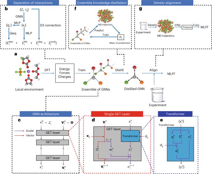 A predictive machine learning force-field framework for liquid electrolyte development
