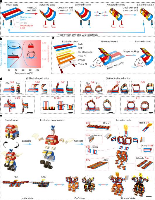 Transforming machines capable of continuous 3D shape morphing and locking