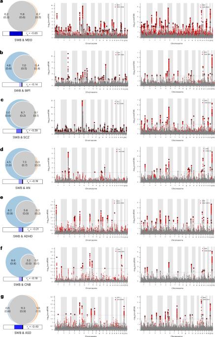 Polygenic overlap between subjective well-being and psychiatric disorders and cross-ancestry validation