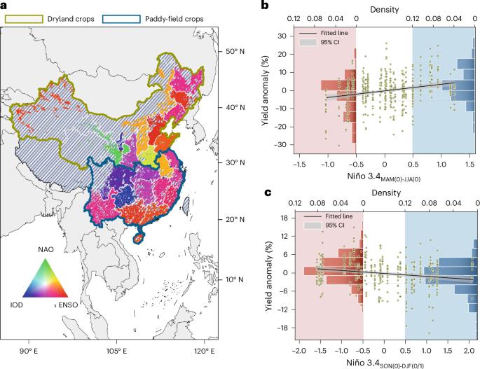 Oscillation-induced yield loss in China partially driven by migratory pests from mainland Southeast Asia