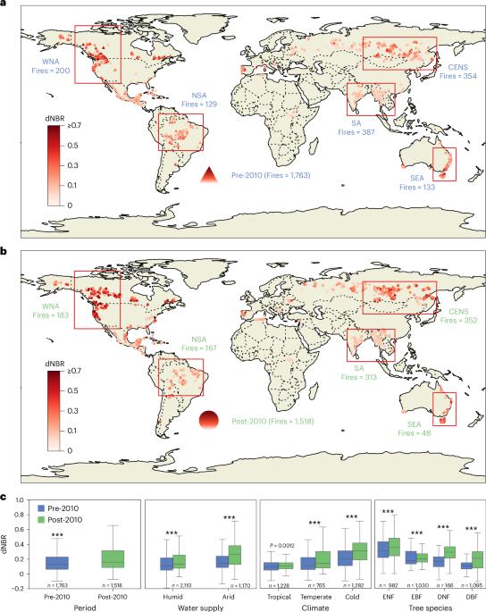 Increasing severity of large-scale fires prolongs recovery time of forests globally since 2001