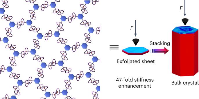 Synthesis of a crystalline two-dimensional [c2]daisy chain honeycomb network
