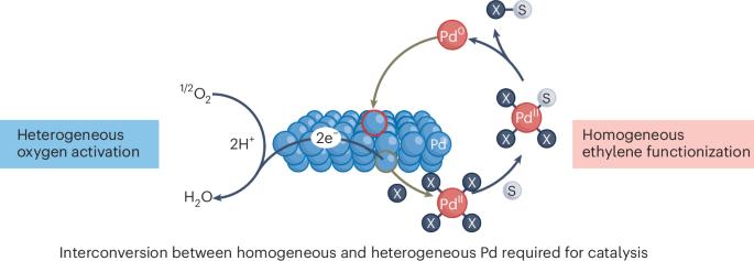 Bridging catalysis