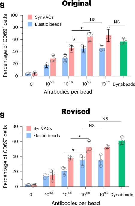 Author Correction: Viscoelastic synthetic antigen-presenting cells for augmenting the potency of cancer therapies