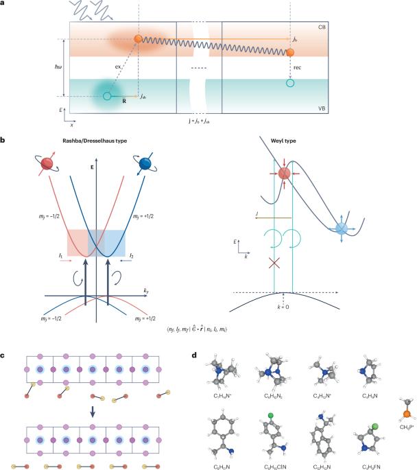 Photogalvanic effects in non-centrosymmetric halide perovskites