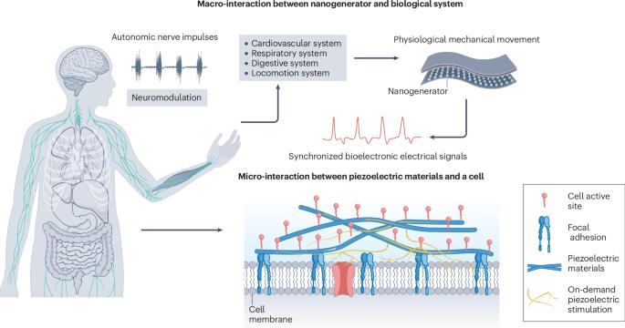 A bright future for self-sustainable bioelectronics