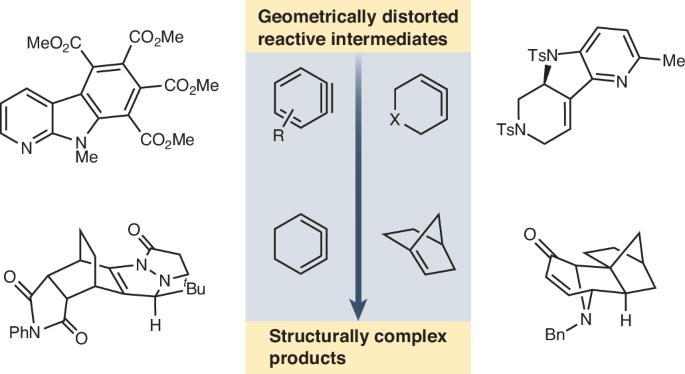 Geometric distortion as an enabling tool for organic synthesis