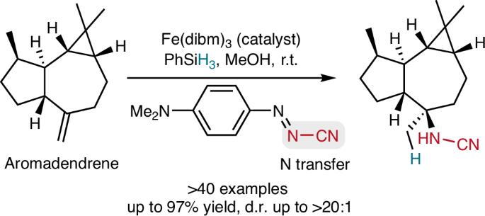 Iron-catalysed radical Markovnikov hydroamidation of complex alkenes
