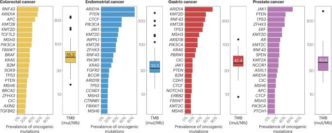 Epidemiology, pathogenesis, biology and evolving management of MSI-H/dMMR cancers
