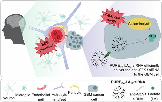 Lactate-coated polyurea-siRNA dendriplex: a gene therapy-directed and metabolism-based strategy to impair glioblastoma (GBM)