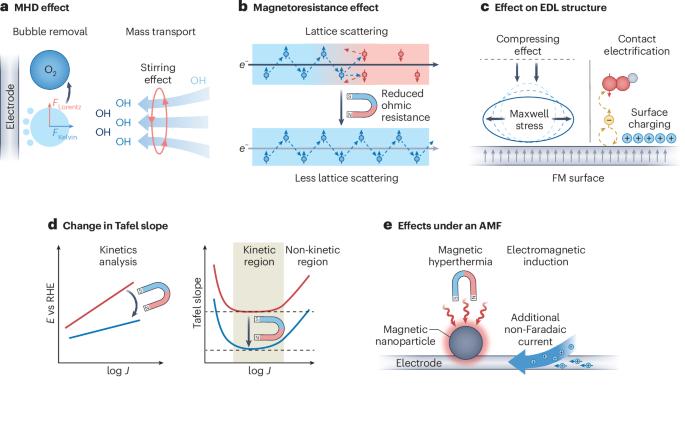 Spin-related and non-spin-related effects of magnetic fields on water oxidation