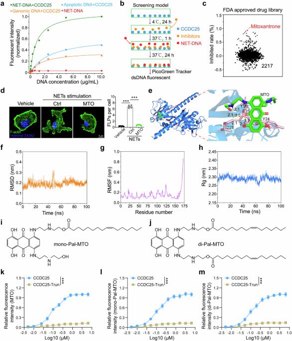 The NET-DNA-CCDC25 inhibitor di-Pal-MTO suppresses tumor progression and promotes the innate immune response