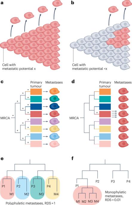 Evolutionary paths towards metastasis